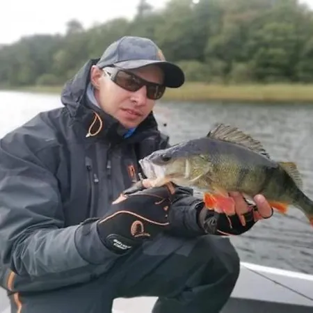 With Summer Pool Sauna, Whirlpool Feriehus